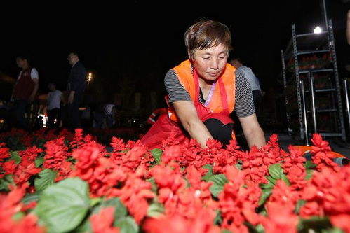 巨幅鮮花黨旗展示光明食品集團(tuán)花卉工廠力量